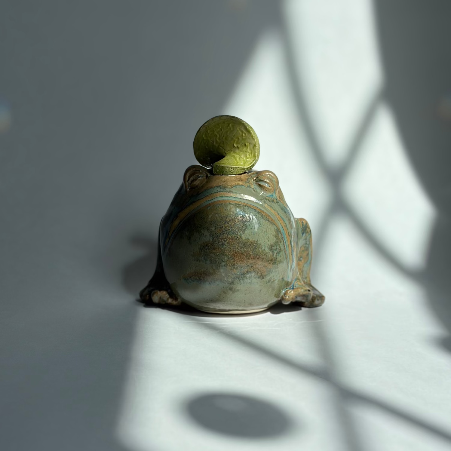 A small frog-shaped ceramic container or lidded dish with a green top, photographed on a light gray surface with dramatic window-shadow lighting.