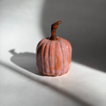 Single blush pink ceramic pumpkin with a curled dark brown stem, lit dramatically with soft directional light casting a shadow
